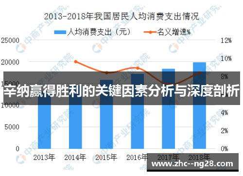 辛纳赢得胜利的关键因素分析与深度剖析