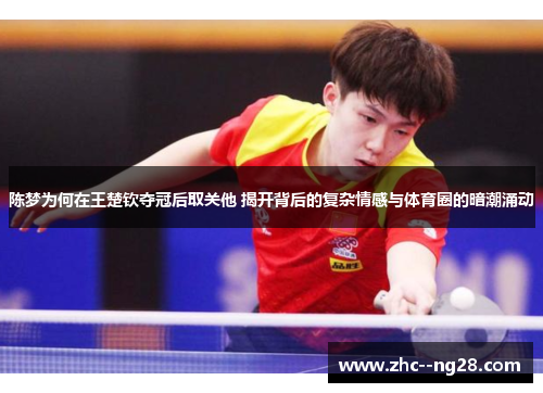 陈梦为何在王楚钦夺冠后取关他 揭开背后的复杂情感与体育圈的暗潮涌动 陈梦为何在王楚钦夺冠后取关他 揭开背后的复杂情感与体育圈的暗潮涌动