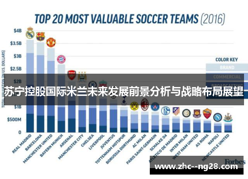 苏宁控股国际米兰未来发展前景分析与战略布局展望 苏宁控股国际米兰未来发展前景分析与战略布局展望