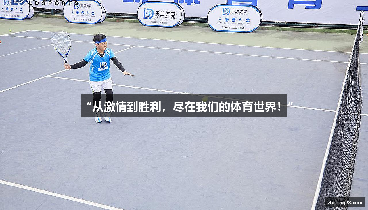 NG28下载